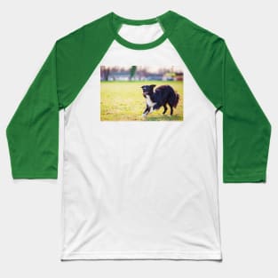 playing Collie Baseball T-Shirt